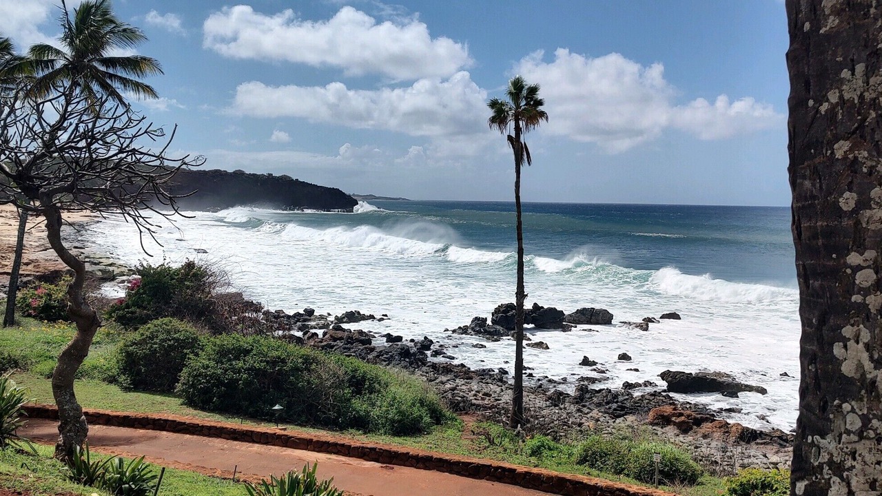 Photo of Others in Maunaloa