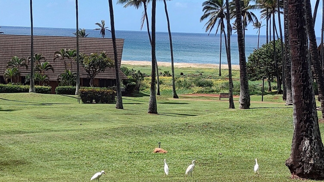 Photo of Outdoor in Maunaloa