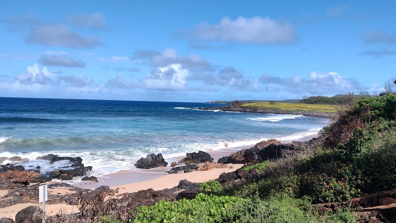Photo of Others in Maunaloa