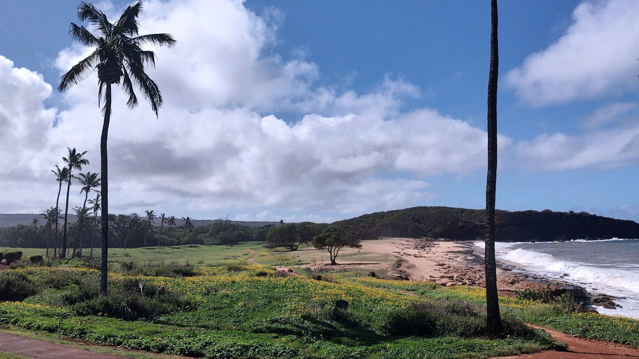 Photo of Others in Maunaloa