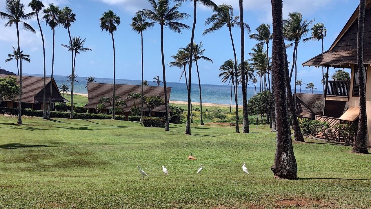 Photo of Outdoor in Maunaloa