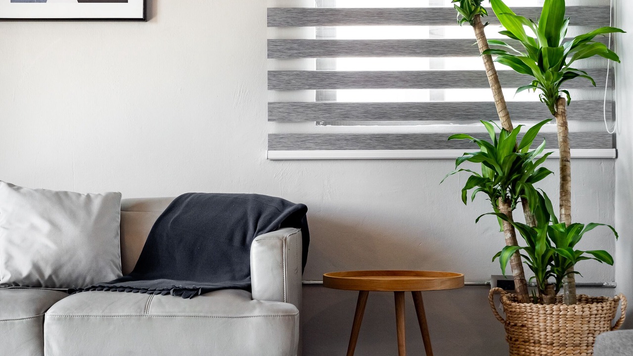 Photo of Livingroom in Downtown Santo Domingo