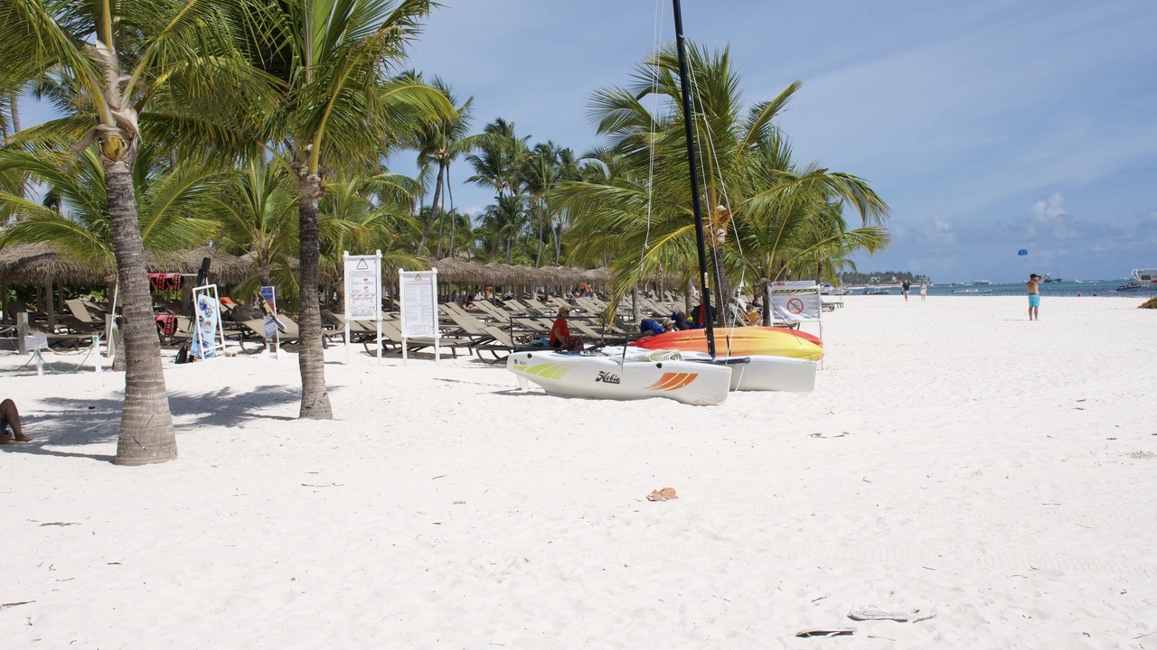 Photo of Others in Playa Bibijagua