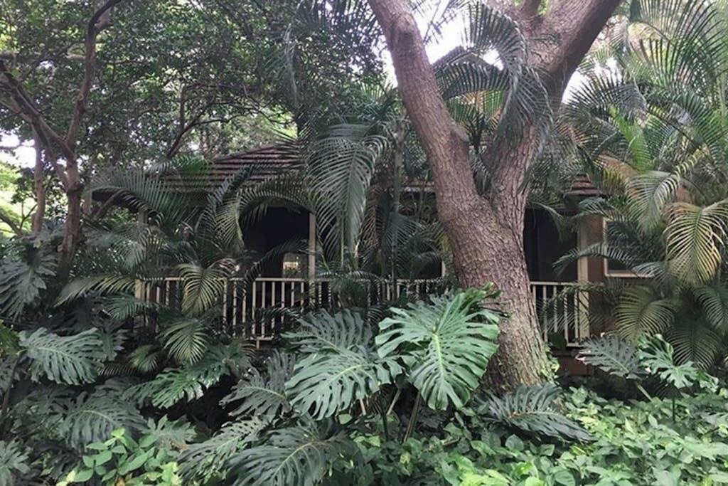 Photo of Outdoor in Maunaloa