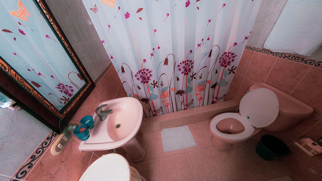 Photo of Bathroom in Reparto Ibarra