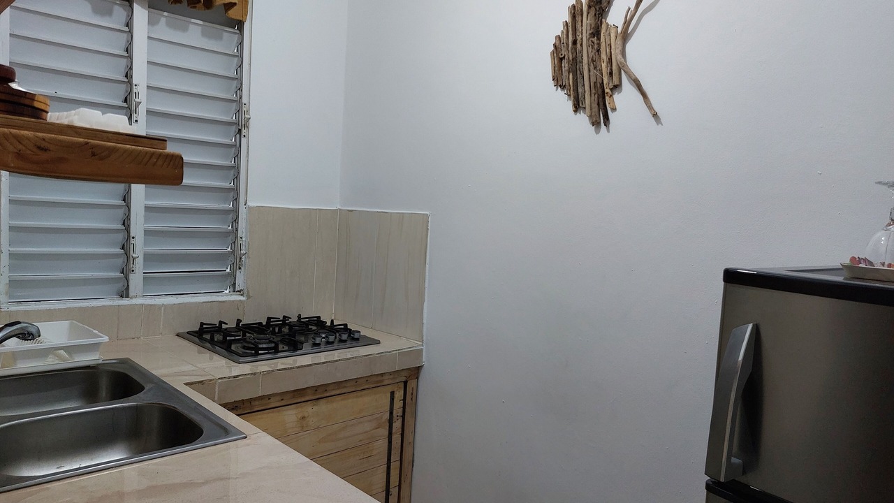 Photo of Kitchen in Samana