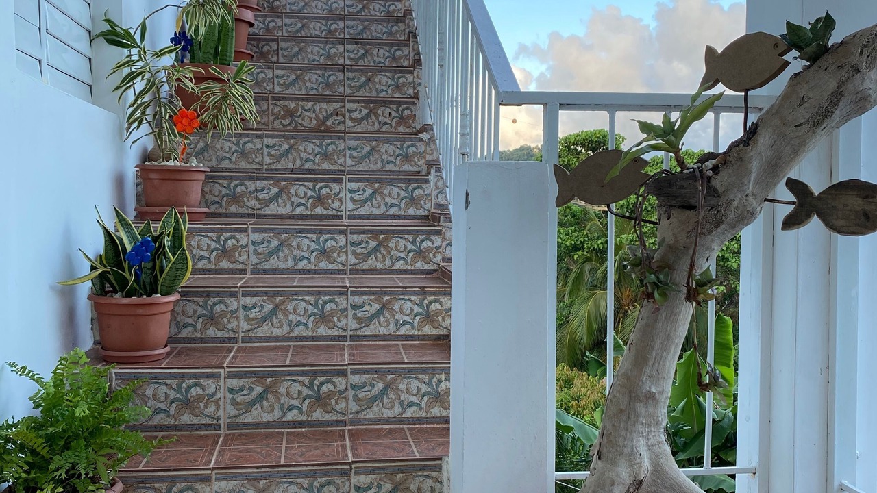 Photo of Outdoor in Samana