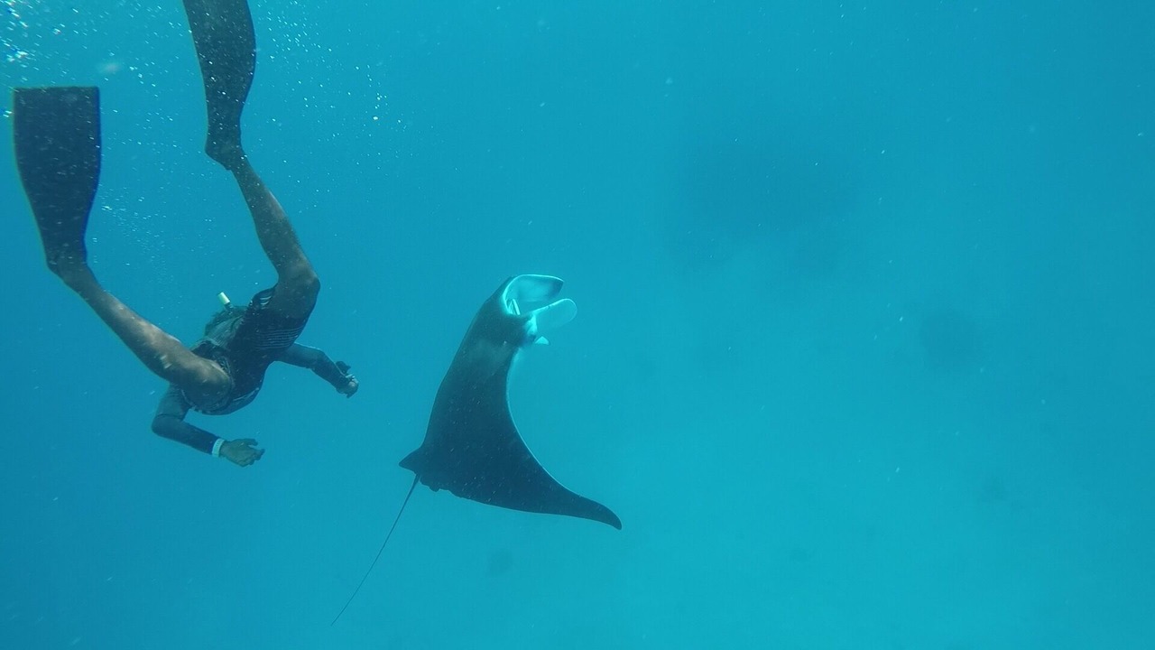 Photo of Others in Dhidhdhoo