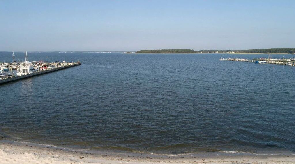 Photo of Others in Dewey Beach