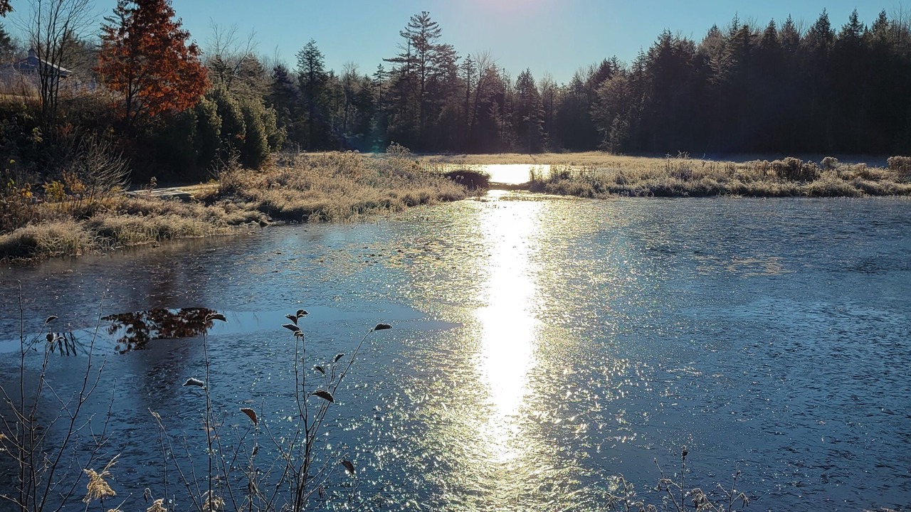 Photo of Others in North Creek