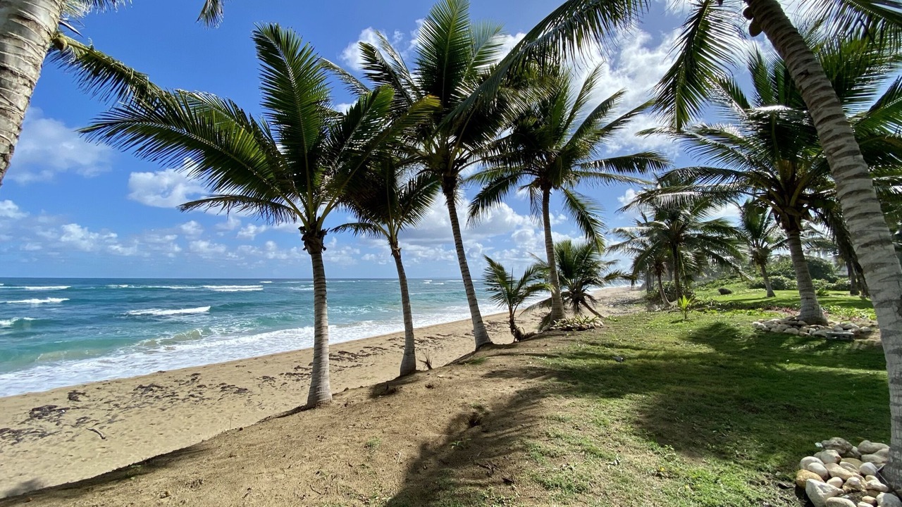 Photo of Others in Cabarete