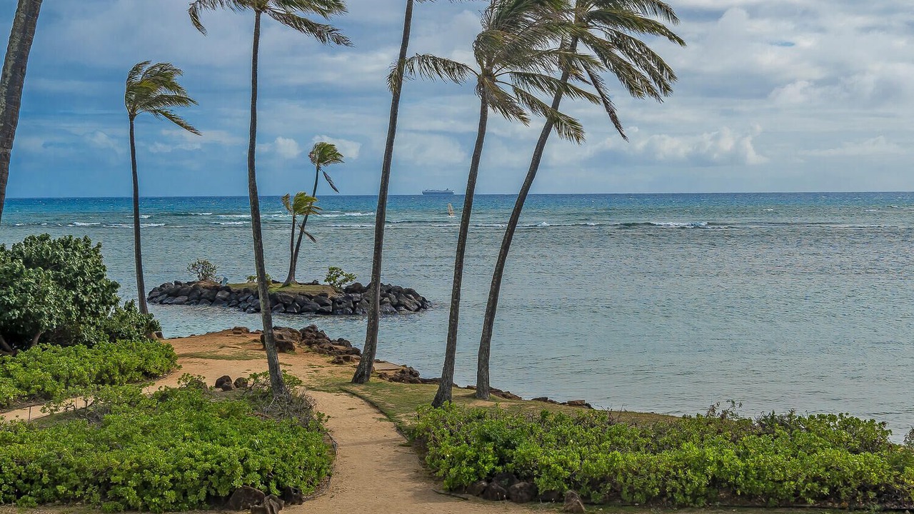 Photo of Others in Waialae Iki