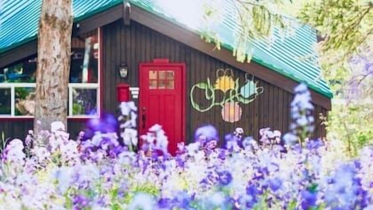 Photo of Outdoor in Salt Lake Mountain Resorts