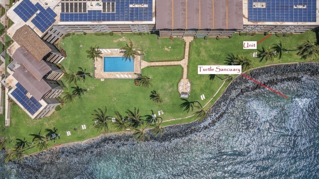 Photo of Others in Maalaea
