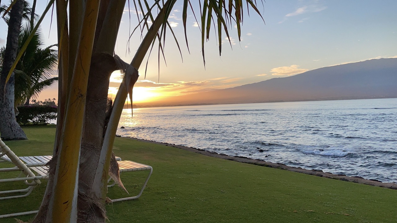Photo of Others in Maalaea