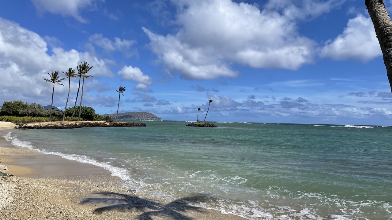 Photo of Others in Kahala