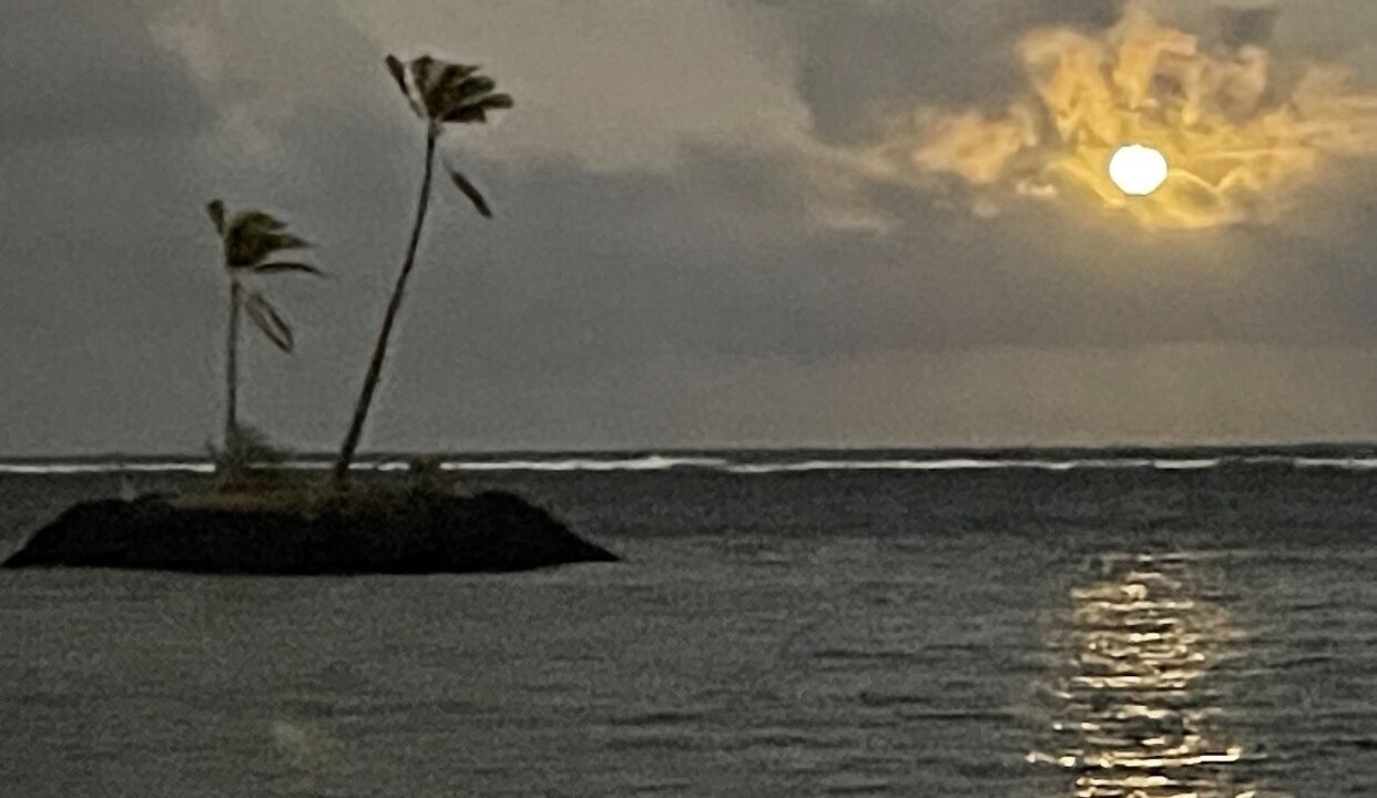 Photo of Others in Kahala