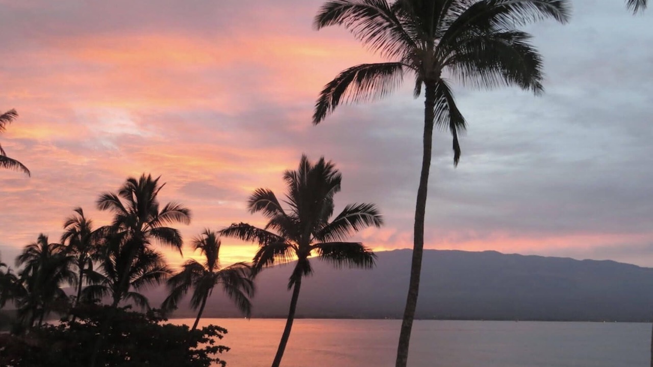 Photo of Others in Maalaea