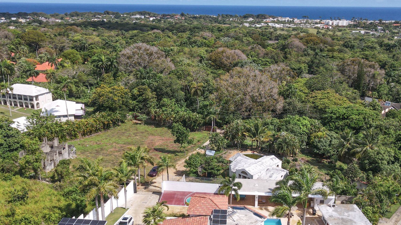 Photo of Outdoor in La Mulata