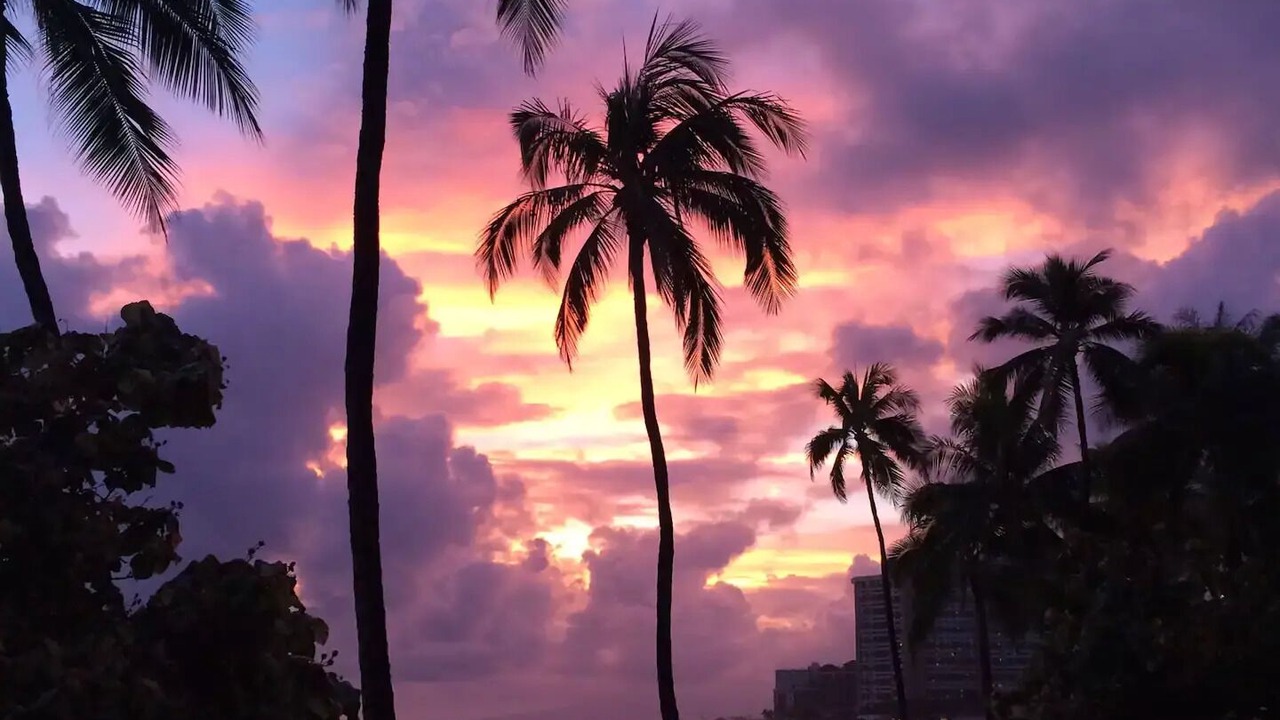 Photo of Others in Diamond Head - Kapahulu - St. Louis