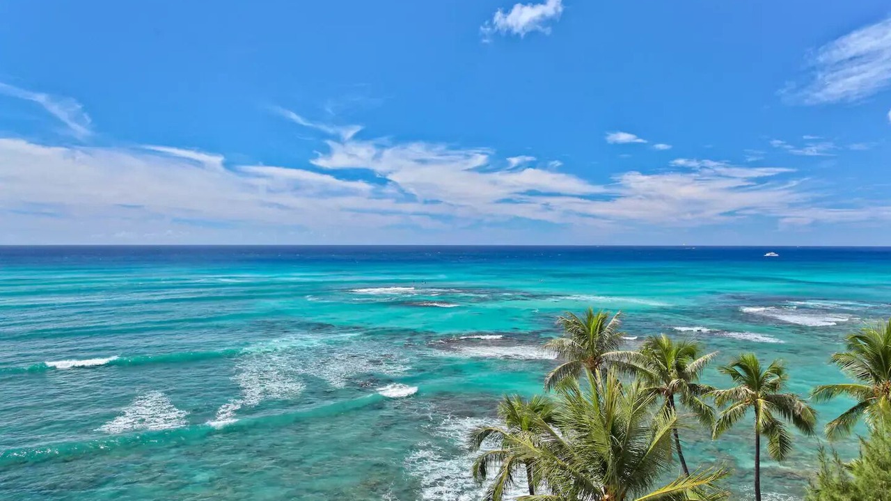 Photo of Others in Diamond Head - Kapahulu - St. Louis