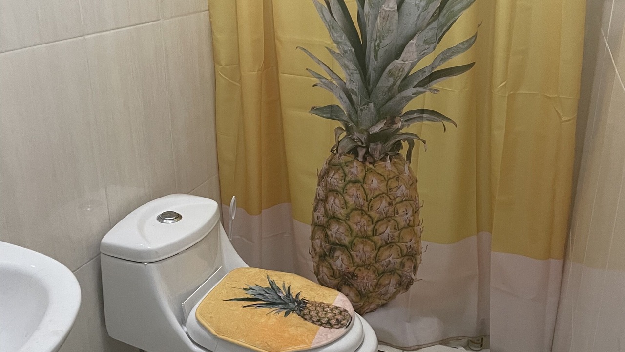 Photo of Bathroom in Samana