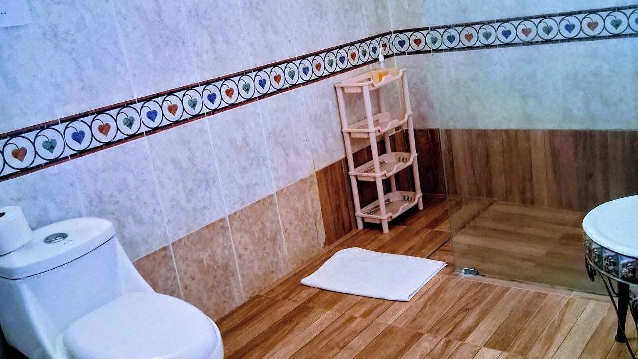 Photo of Bathroom in Santiago de los Caballeros