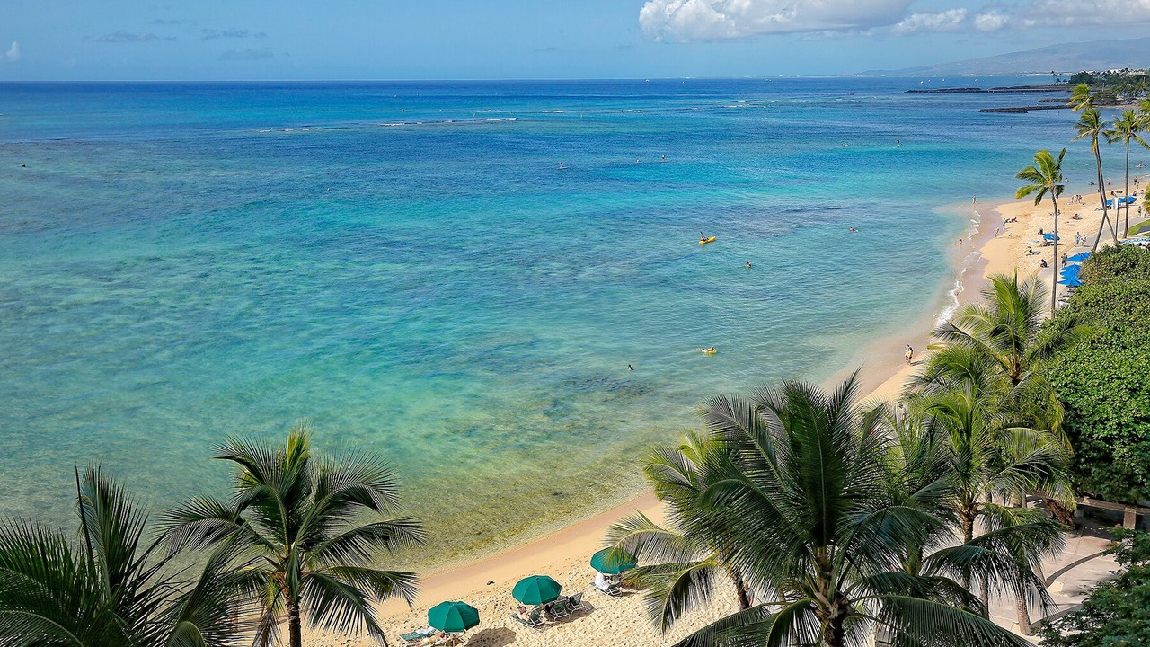 Photo of Others in Waikiki