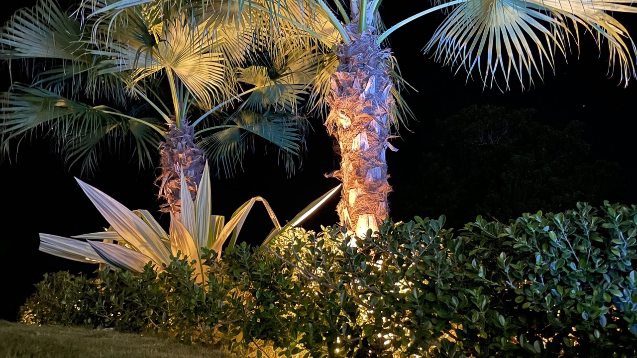 Photo of Outdoor in Los Hidalgos