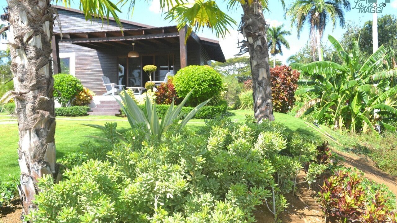 Photo of Outdoor in Los Hidalgos