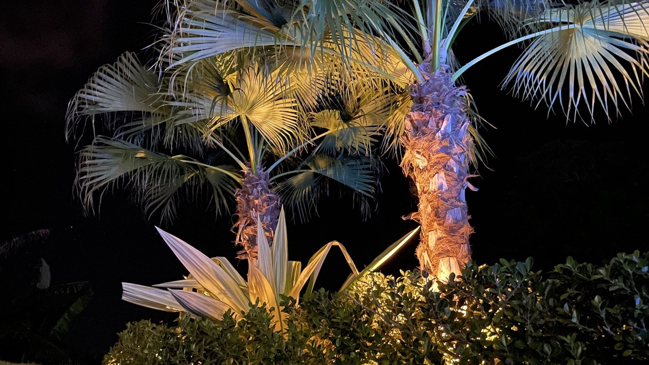 Photo of Outdoor in Los Hidalgos