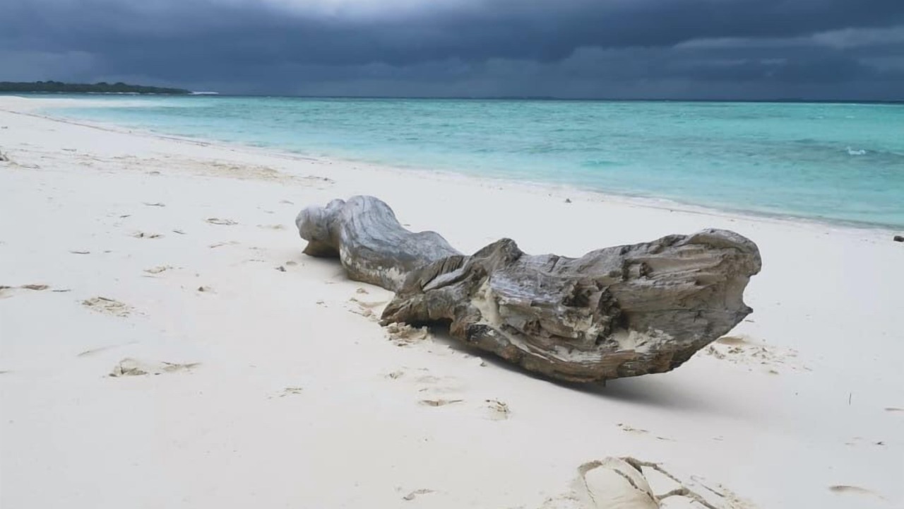 Photo of Others in Dharavandhoo