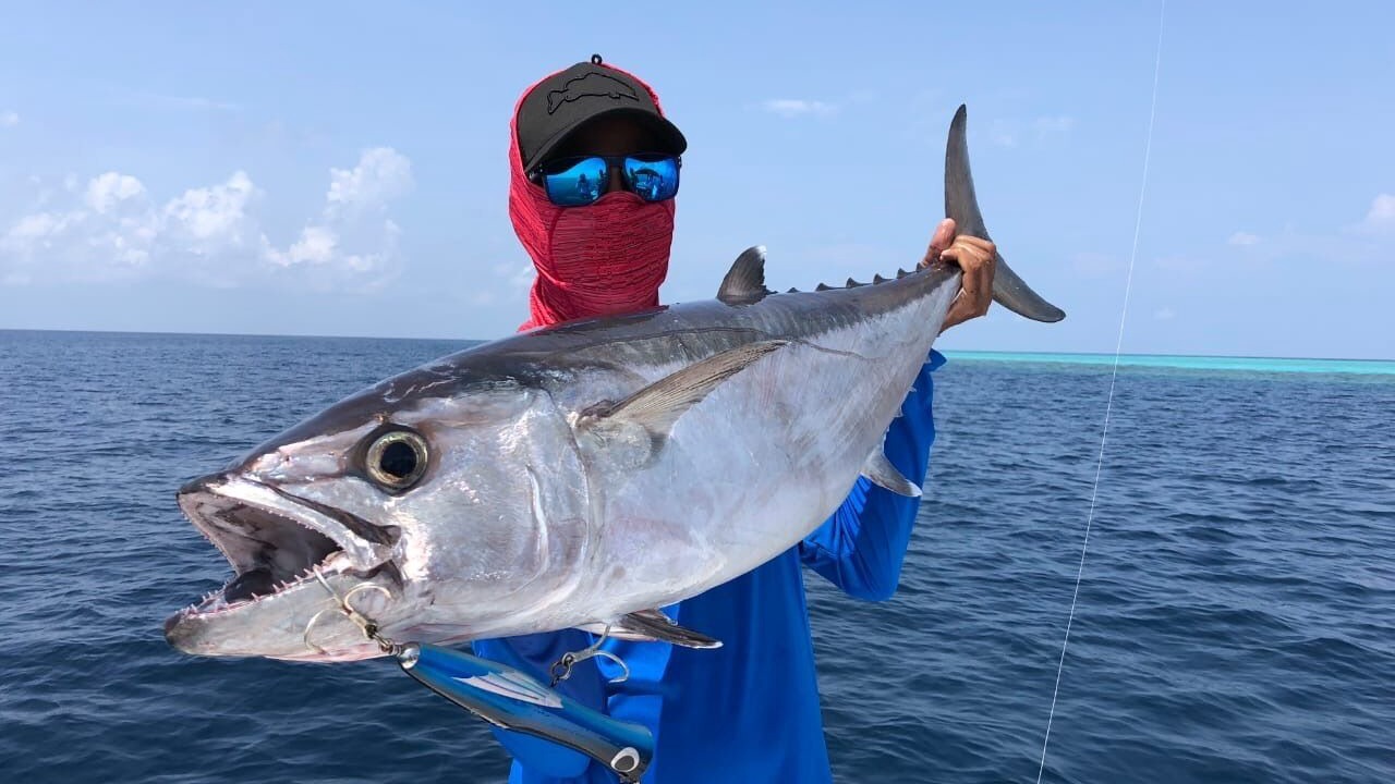 Photo of Others in Dharavandhoo