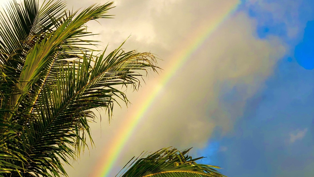 Photo of Outdoor in 'Aina Haina