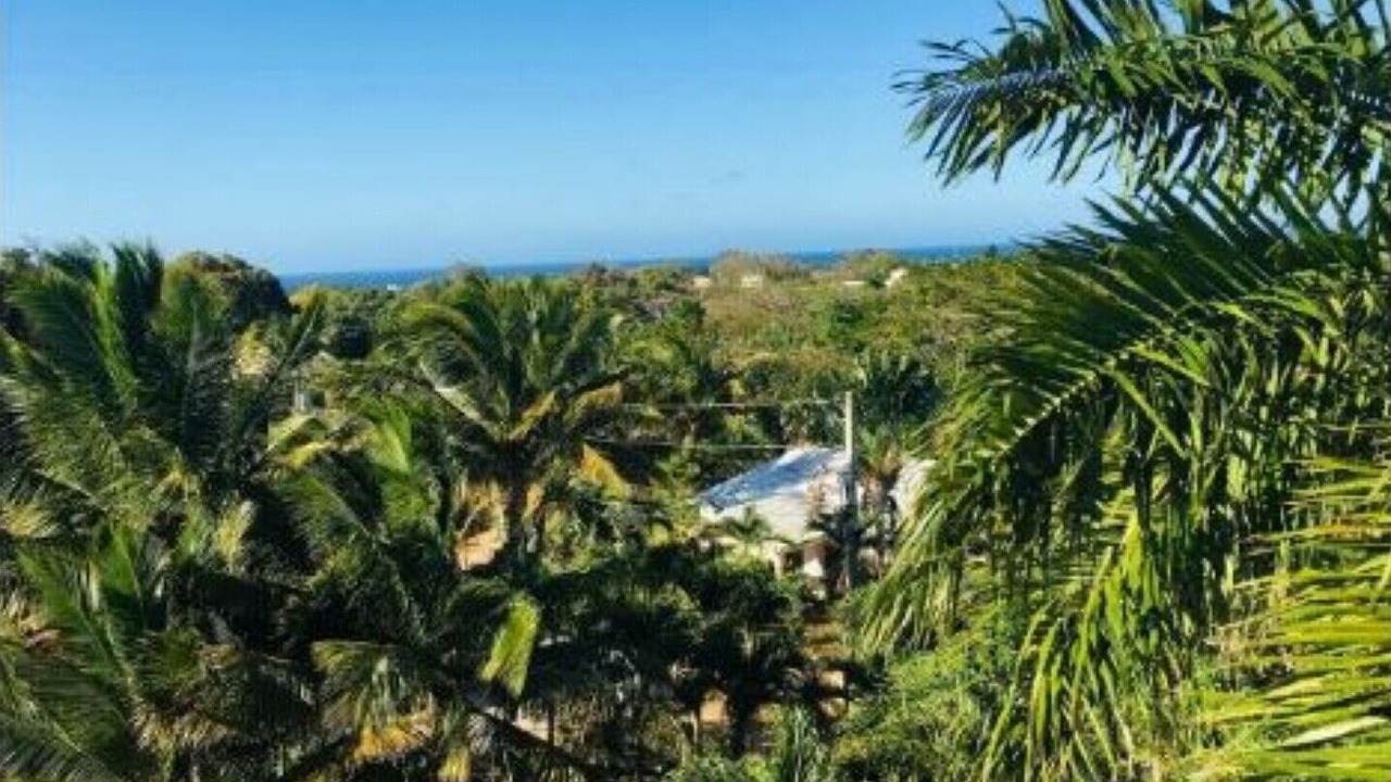 Photo of Outdoor in La Mulata