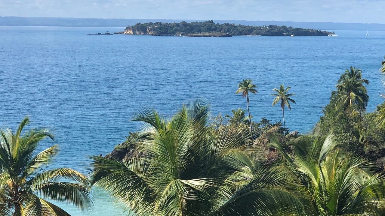 Photo of Others in Las Galeras
