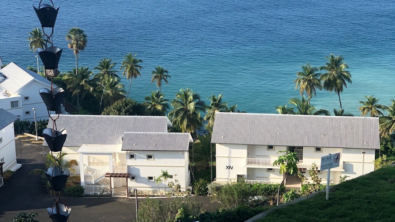 Photo of Outdoor in Las Galeras