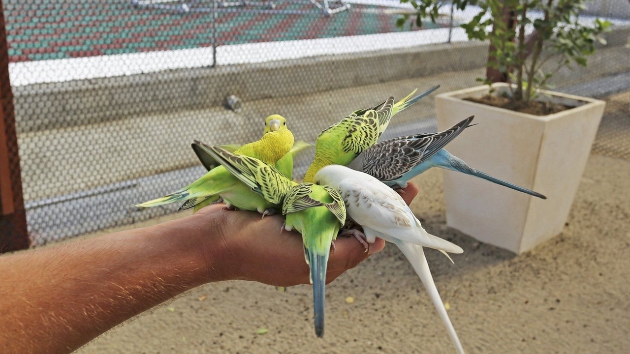 Photo of Outdoor in Sosua