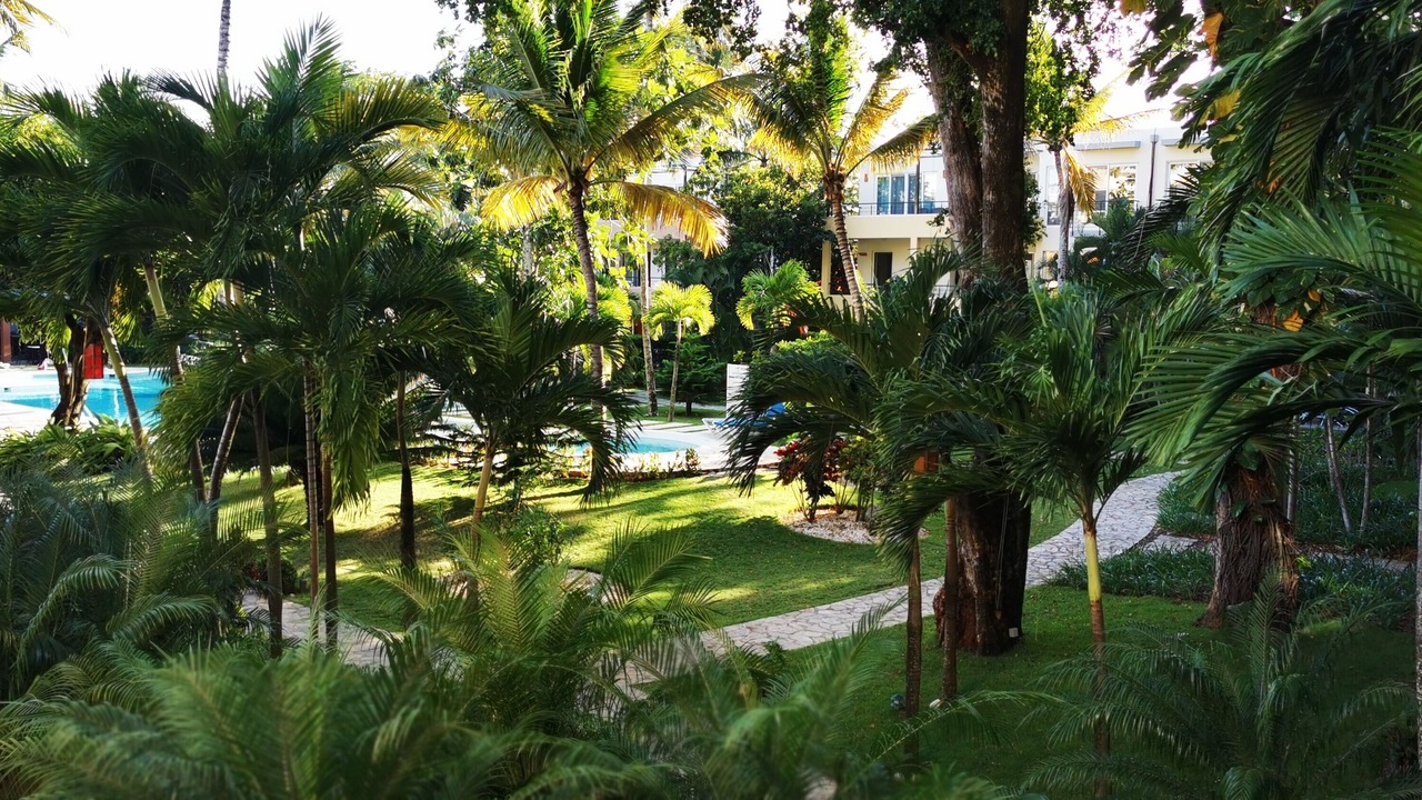 Photo of Outdoor in El Batey