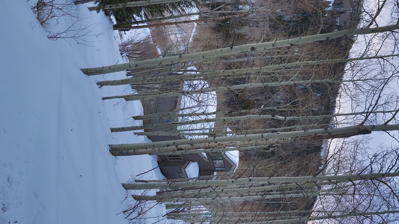 Photo of Others in Salt Lake Mountain Resorts