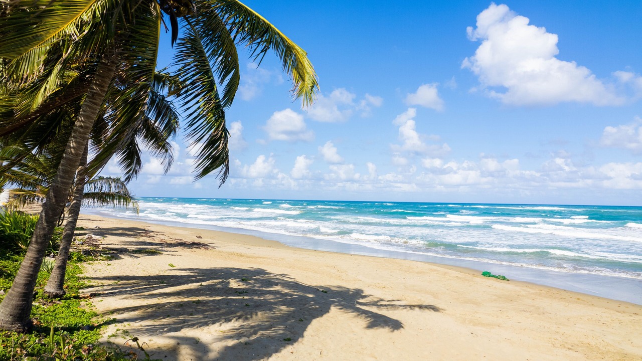 Photo of Others in Cabarete