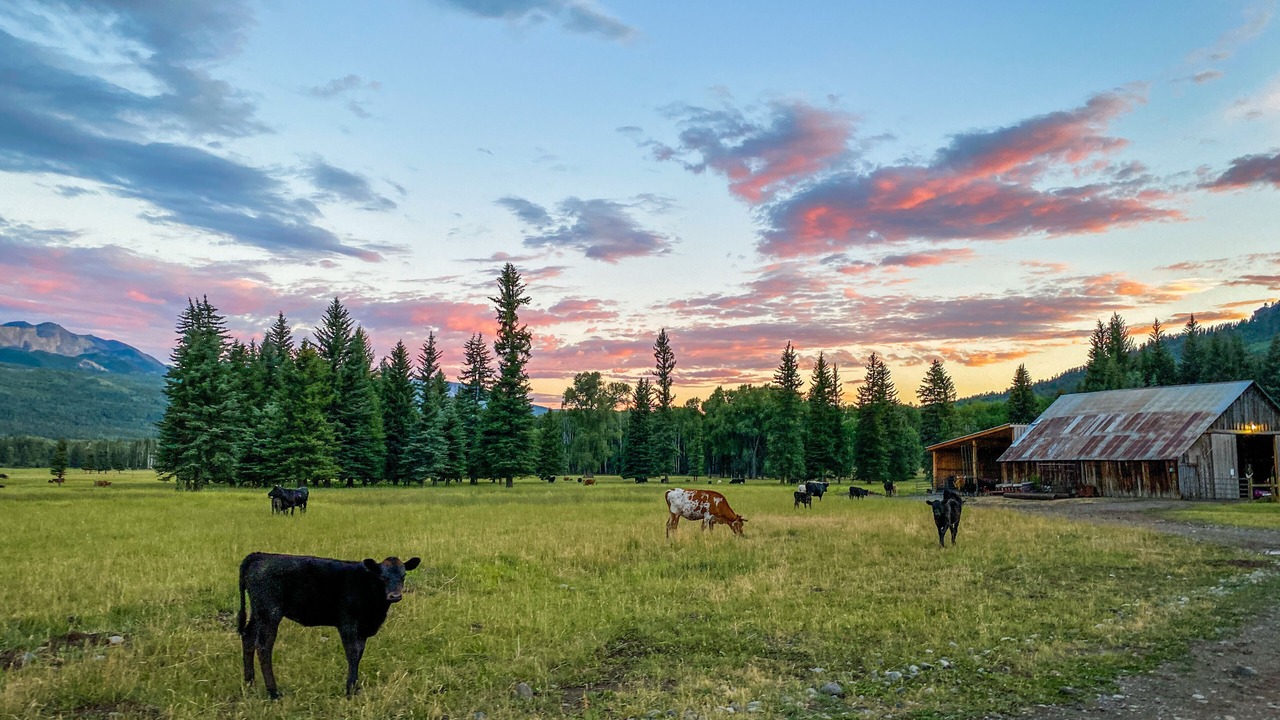 Photo of Outdoor in Pagosa Springs