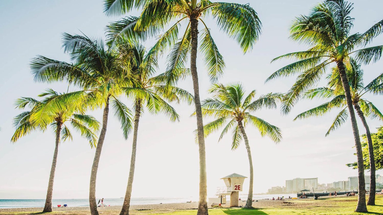 Photo of Others in Waikiki