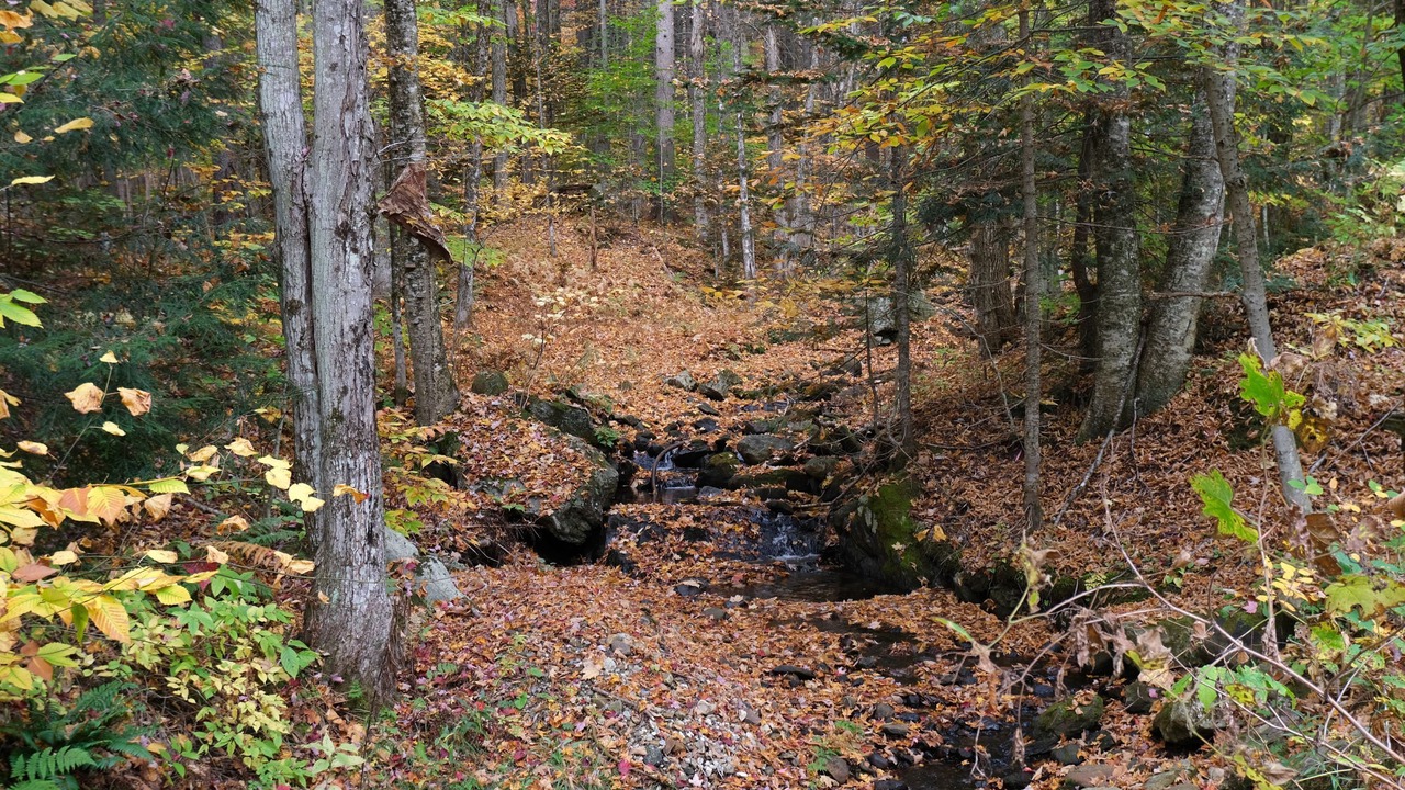 Photo of Outdoor in Central Vermont- Killington