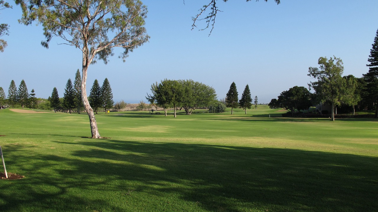 Photo of Others in Waikoloa Village