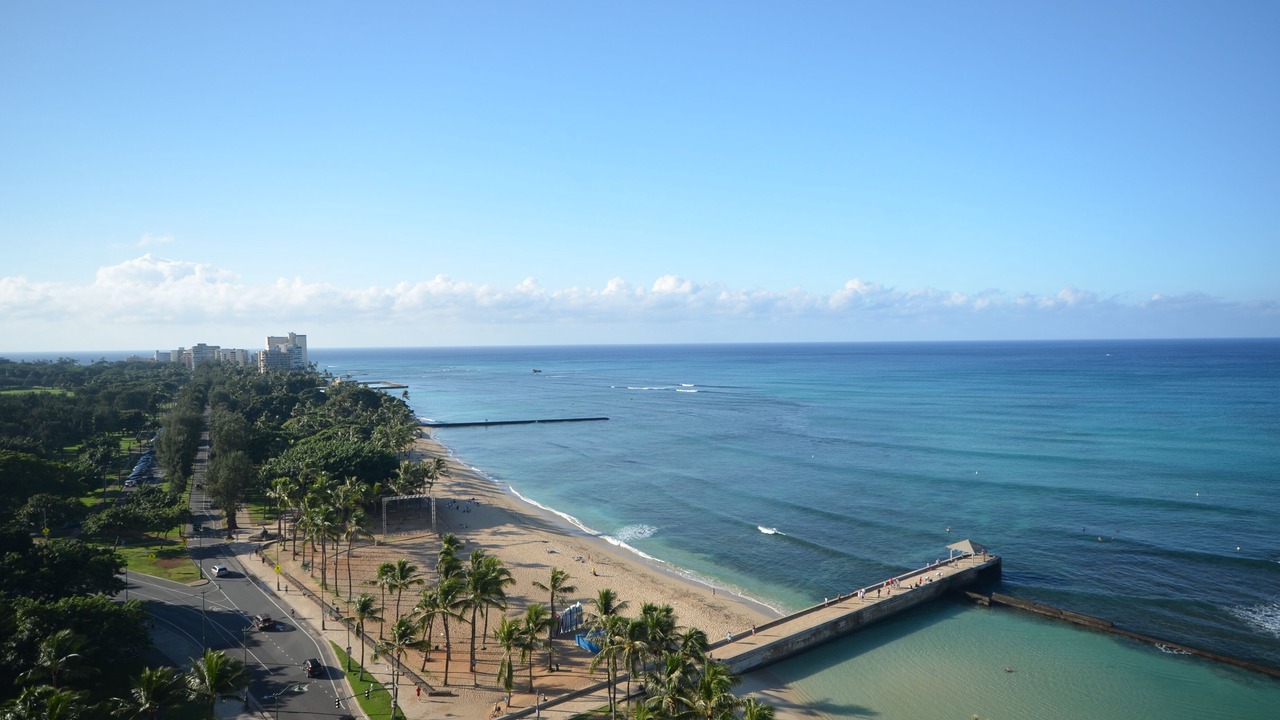 Photo of Others in Waikiki