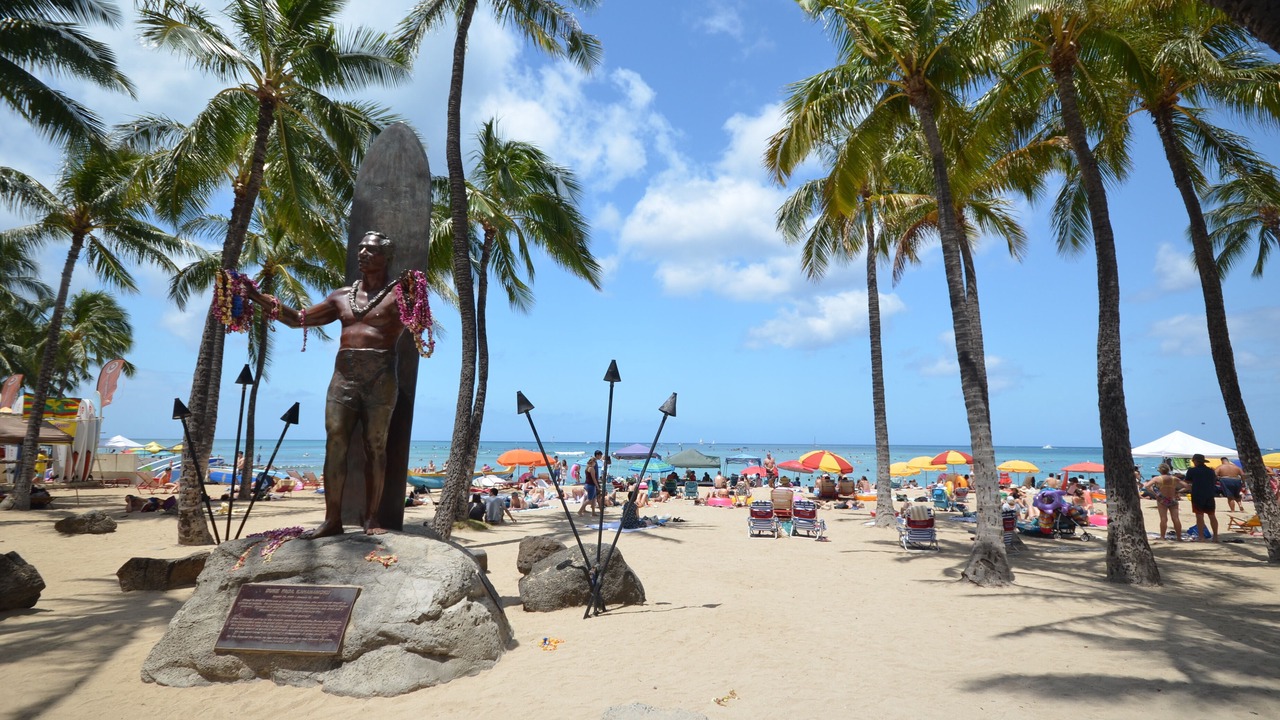 Photo of Others in Waikiki