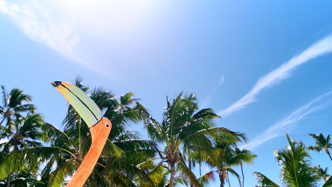 Photo of Outdoor in Bavaro