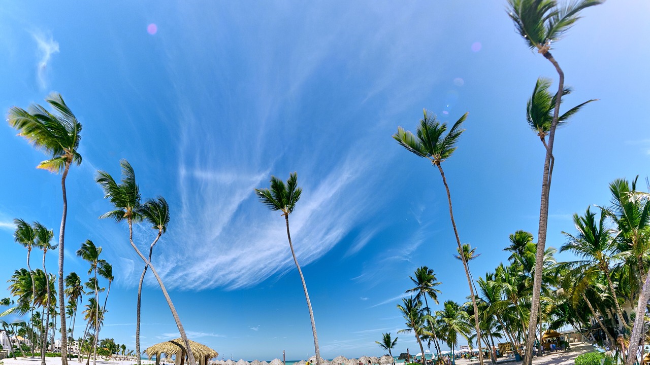 Photo of Others in Bavaro