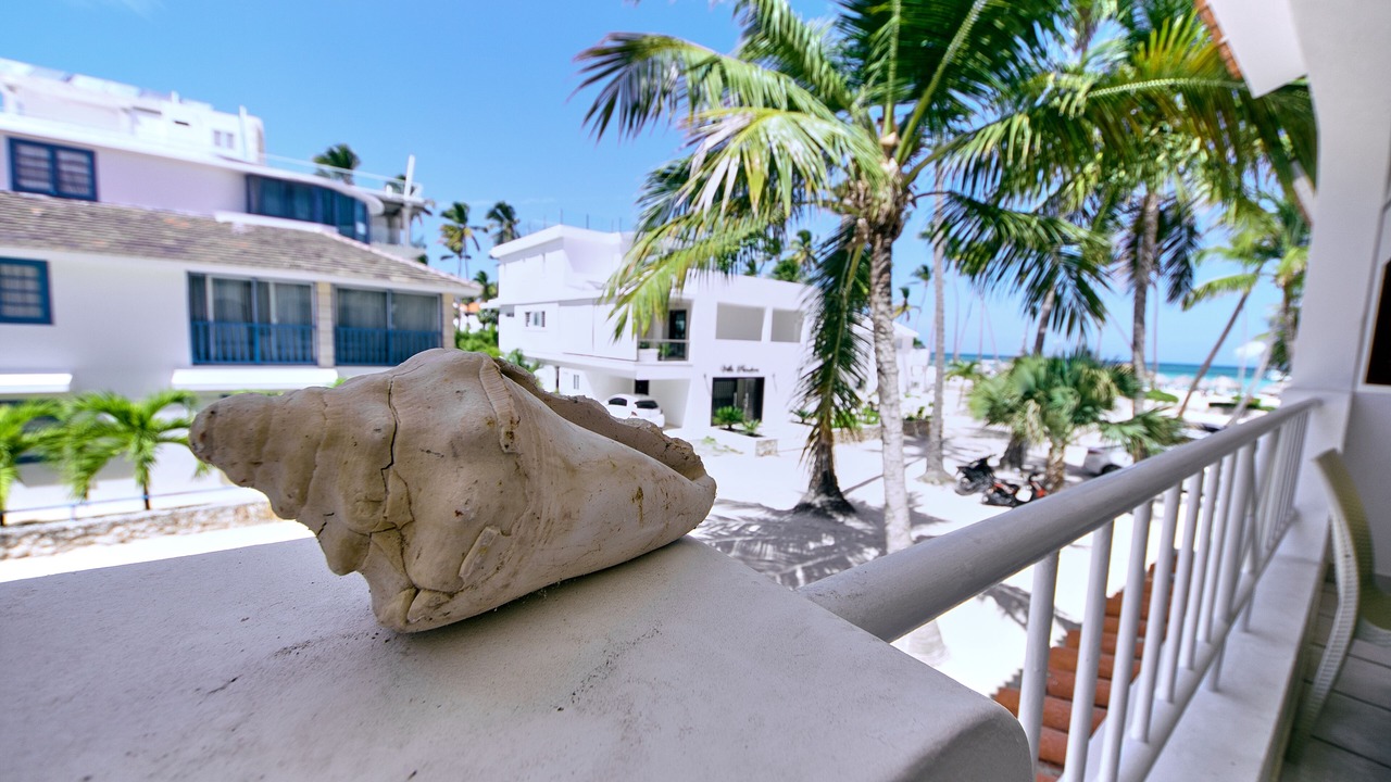 Photo of Outdoor in Bavaro